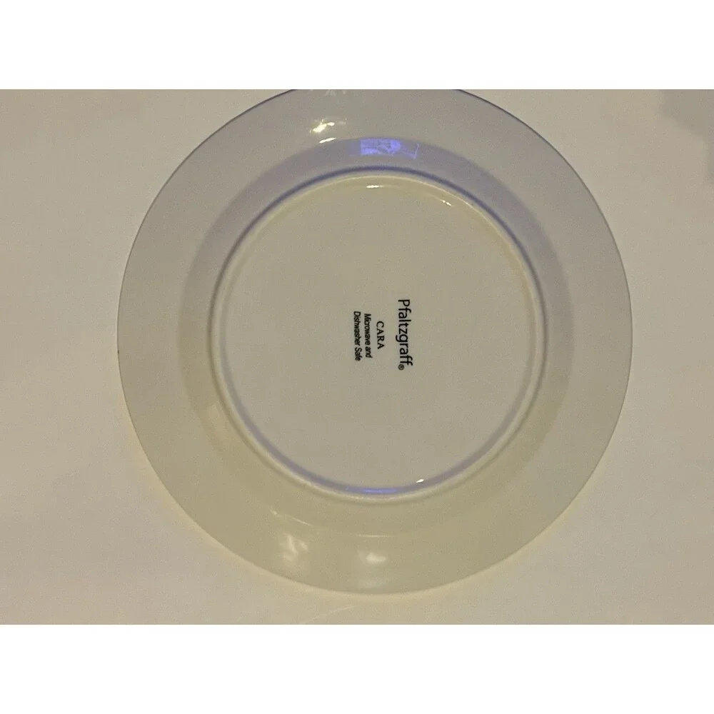 PFALTZGRAFF CARA (2) Dinner Plates 10 3/4